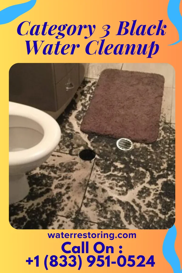 Category 3 Black Water Cleanup in Smithfield, NC