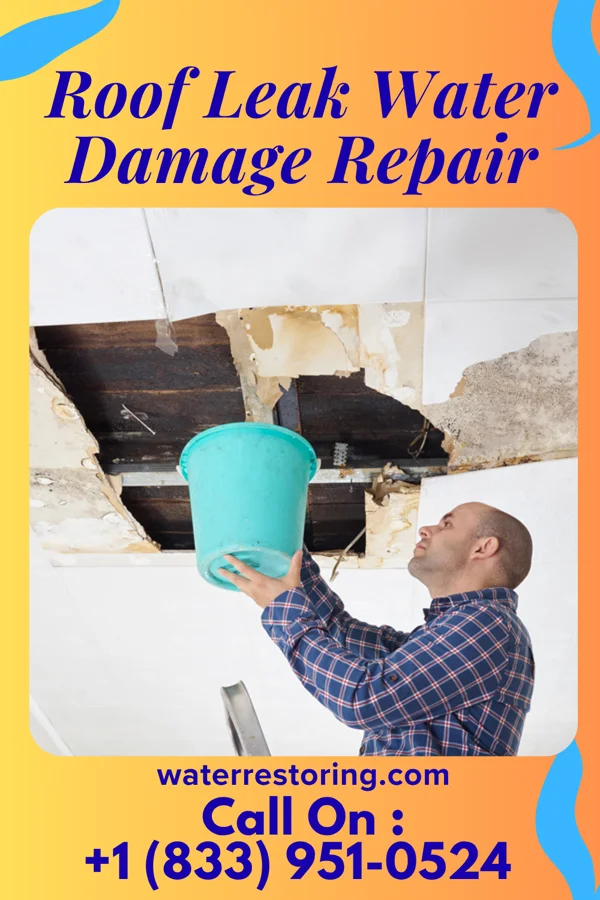 Roof Leak Water Damage Repair in Smithfield, NC